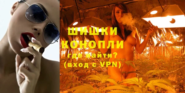 шишки Лагань