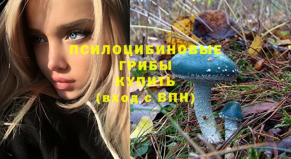 спиды Кукмор